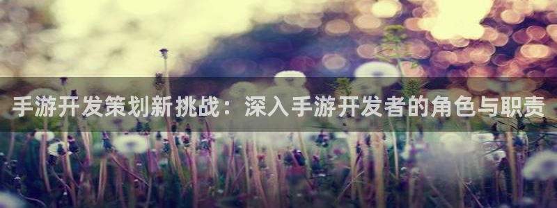 28大神怎么用不了