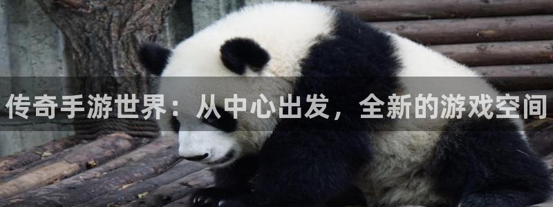 manbetpc蛋蛋在线预测