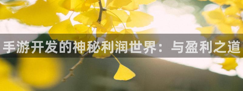 28大神预测app苹果