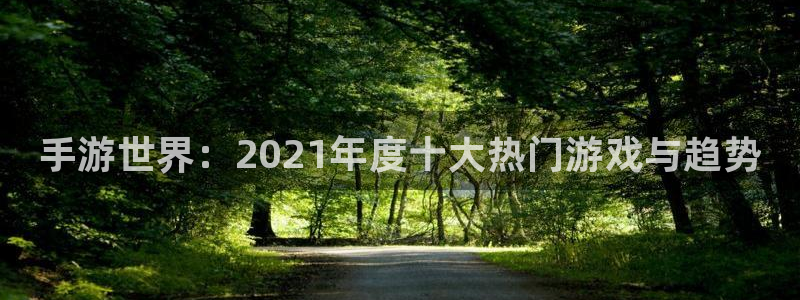 28大神下载安卓：手游世界：2021年度十大热门游戏与趋势