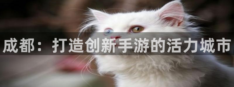 28大神开奖软件