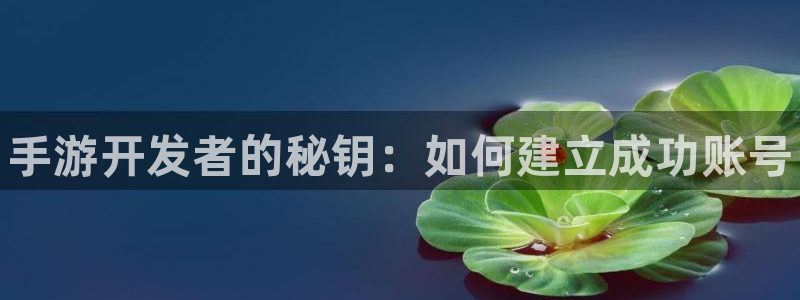 大神吧28官网预测：手游开发者的秘钥：如何建立成功账号