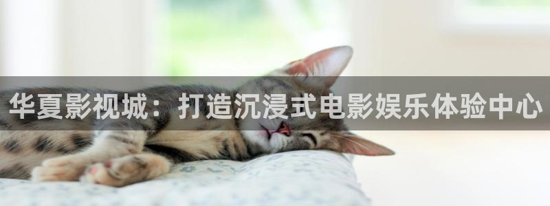 么么哒影院电视剧免费播放：华夏影视城：打造沉浸式电影娱乐体验中心