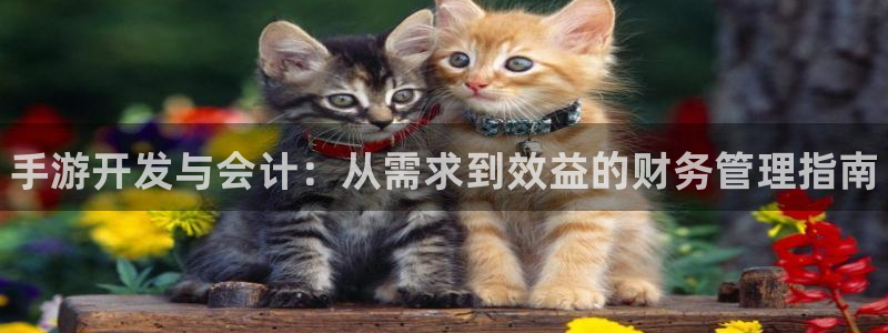 manbet云集预测结果：手游开发与会计：从需求到效益的财务
