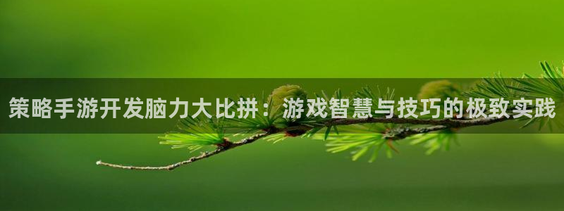 manbet评测：策略手游开发脑力大比拼：游戏智慧与技巧的极