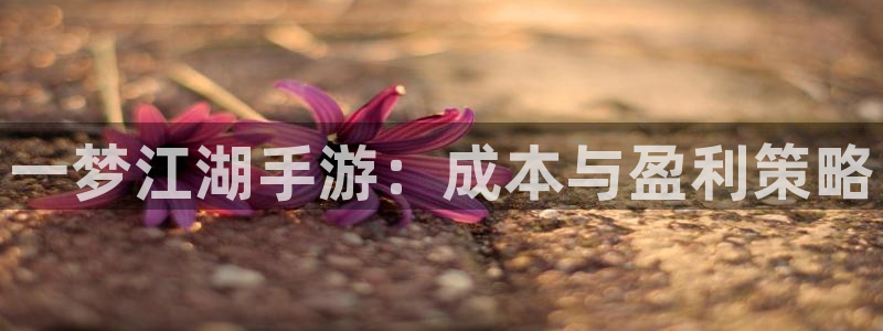 28大神下载苹果：一梦江湖手游：成本与盈利策略